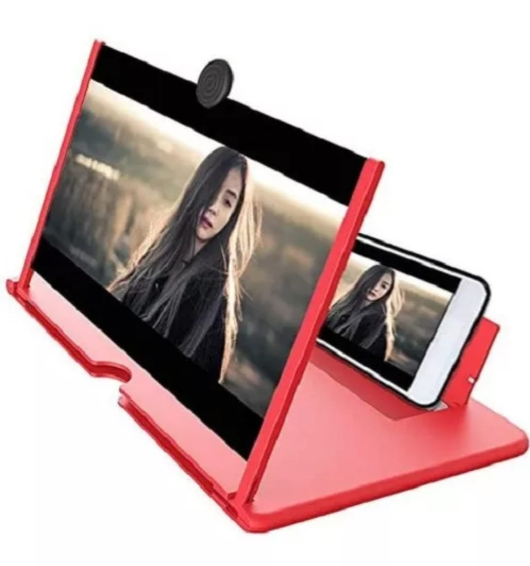 Organizador Zapatero